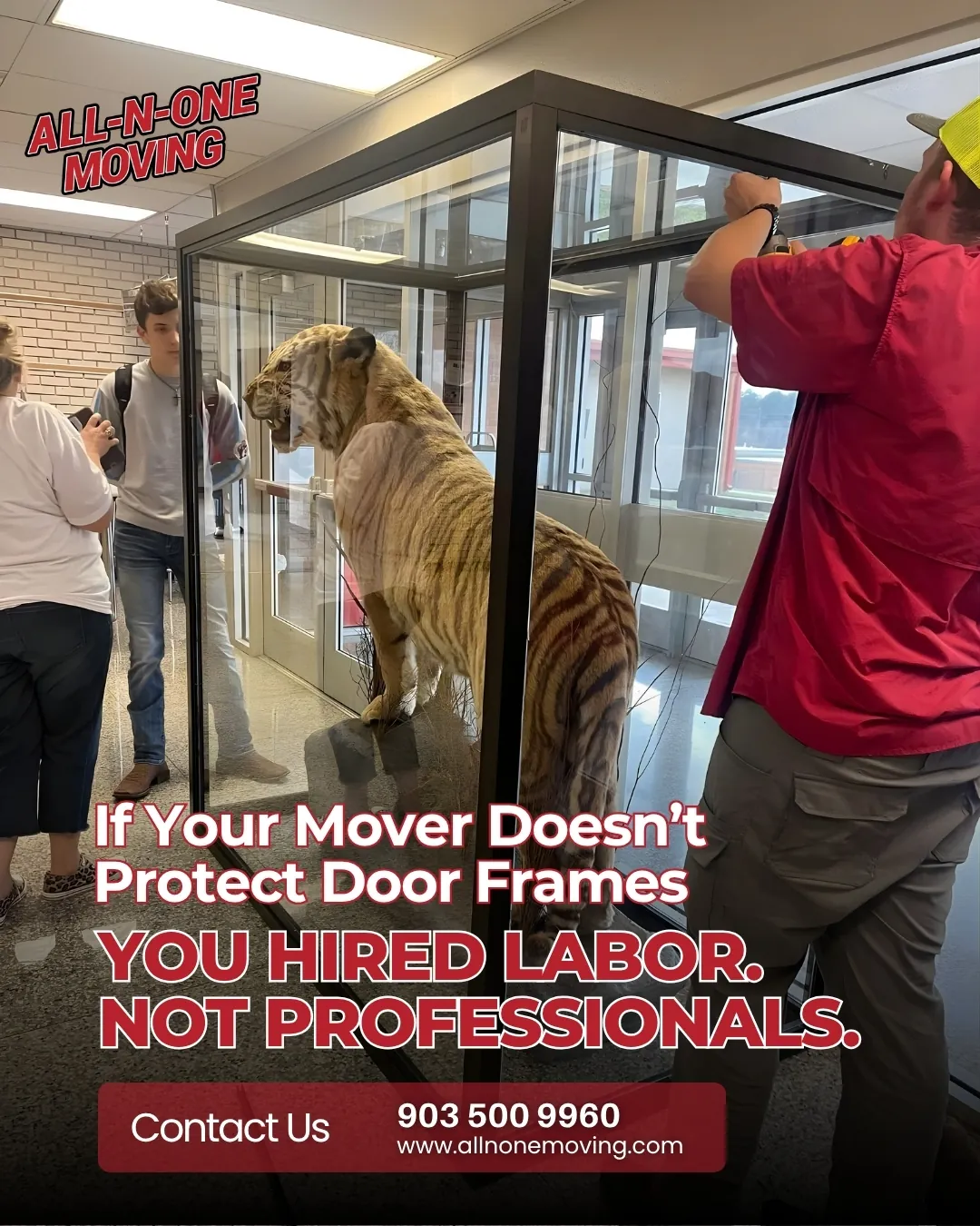 All-N-One Moving social post 1 — Longview, TX movers